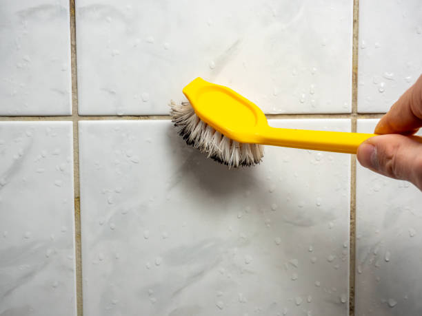 Best Commercial Mold Removal  in Laurel Bay, SC