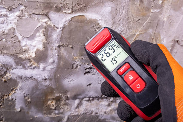 Laurel Bay, SC Mold Removal Company