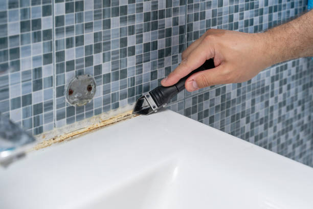 Best Mold Removal Company Near Me  in Laurel Bay, SC
